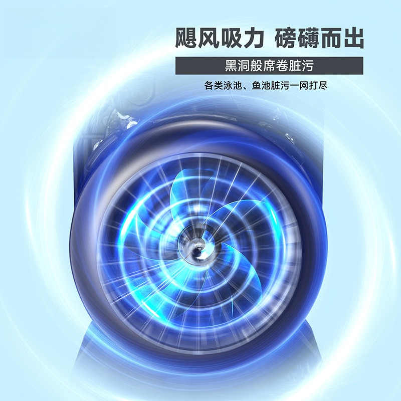 Swimming pool underwater vacuu - đánh giá và giá Pool Vacuum Manual